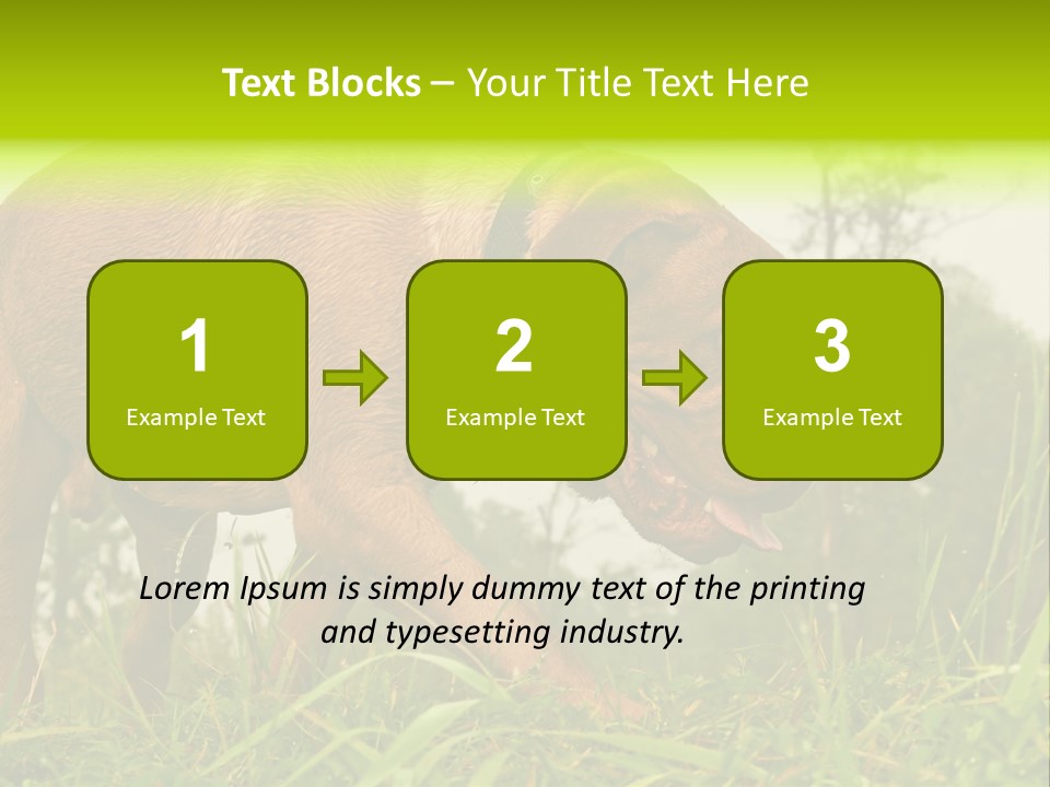 Mammal Sniff Looking PowerPoint Template