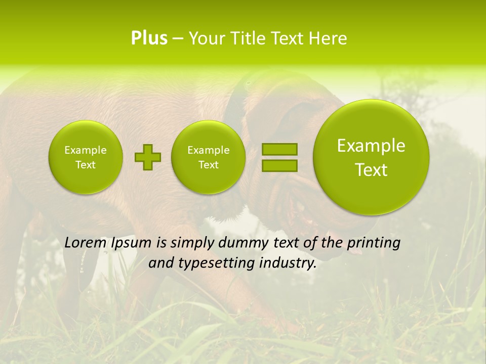 Mammal Sniff Looking PowerPoint Template