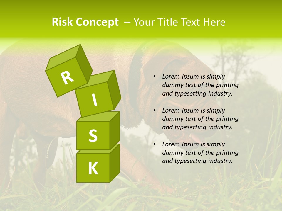 Mammal Sniff Looking PowerPoint Template