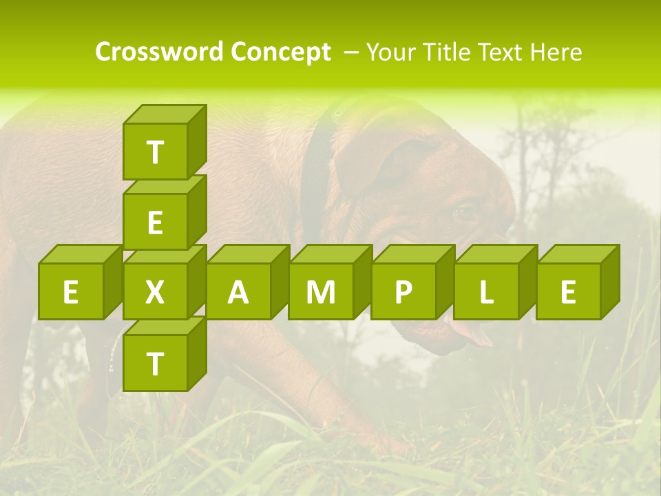 Mammal Sniff Looking PowerPoint Template