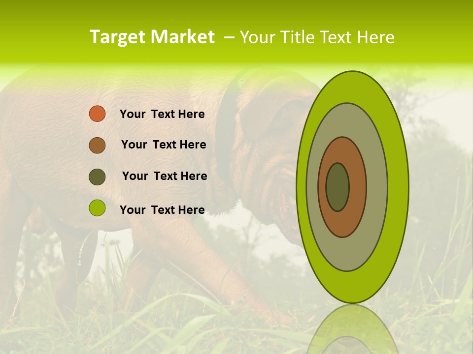 Mammal Sniff Looking PowerPoint Template