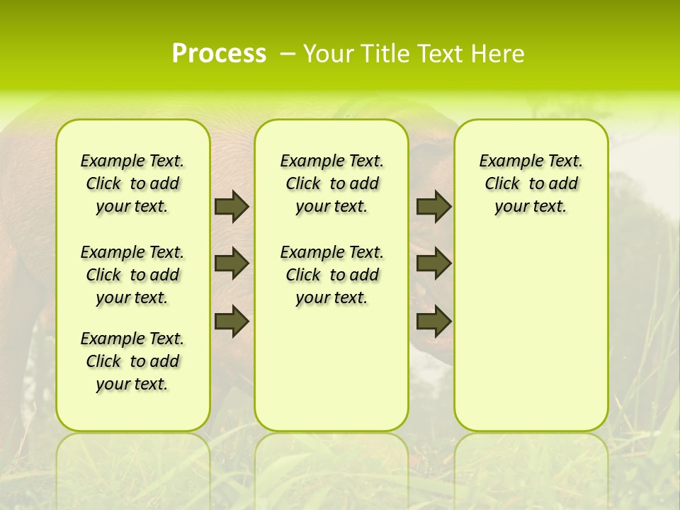 Mammal Sniff Looking PowerPoint Template