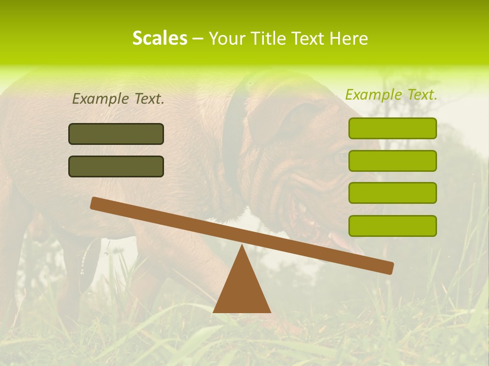 Mammal Sniff Looking PowerPoint Template