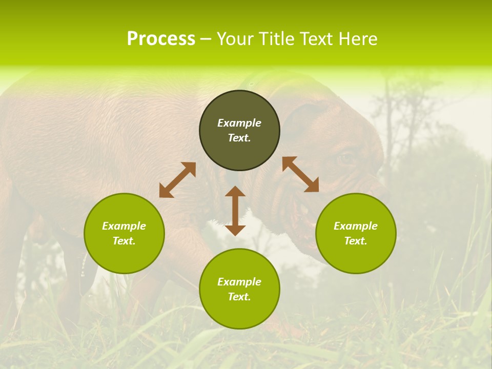 Mammal Sniff Looking PowerPoint Template