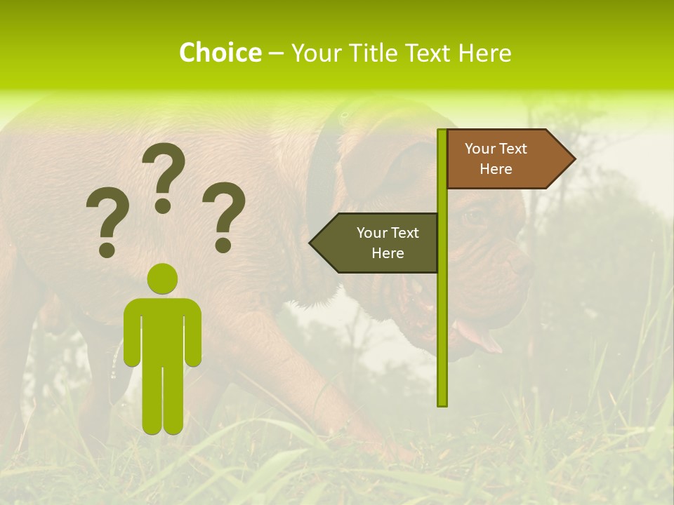 Mammal Sniff Looking PowerPoint Template