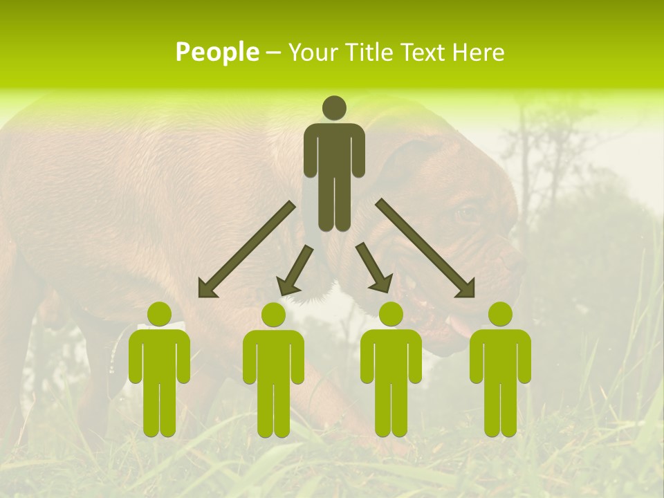 Mammal Sniff Looking PowerPoint Template