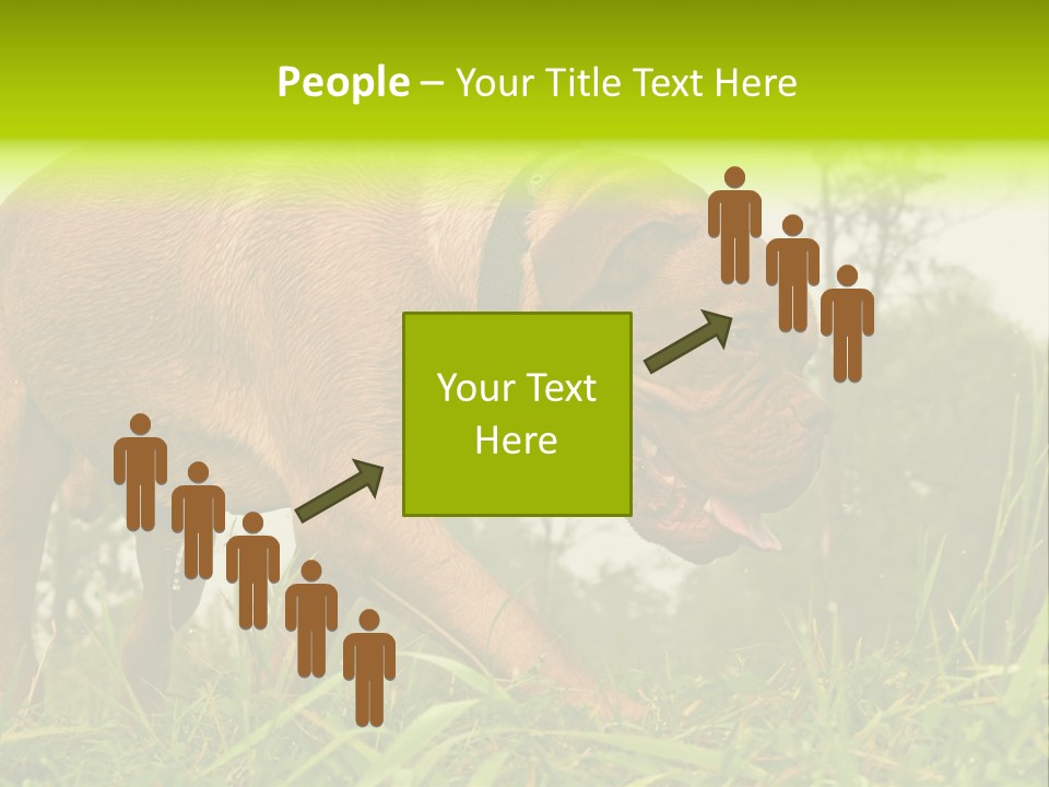 Mammal Sniff Looking PowerPoint Template