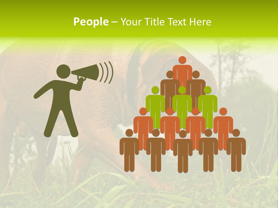 Mammal Sniff Looking PowerPoint Template