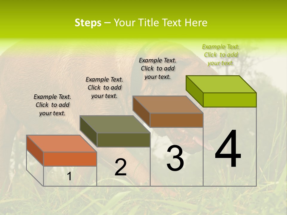 Mammal Sniff Looking PowerPoint Template