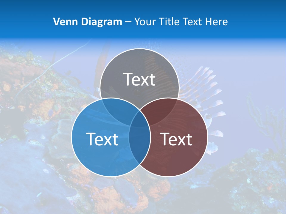 Poisonous Subaquatic Underwater PowerPoint Template