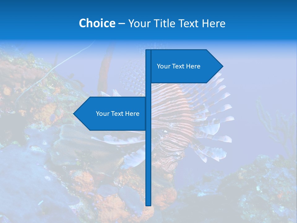 Poisonous Subaquatic Underwater PowerPoint Template