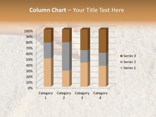 Gourmet Closeup Grained PowerPoint Template