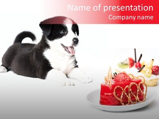 Young Top Puppy PowerPoint Template