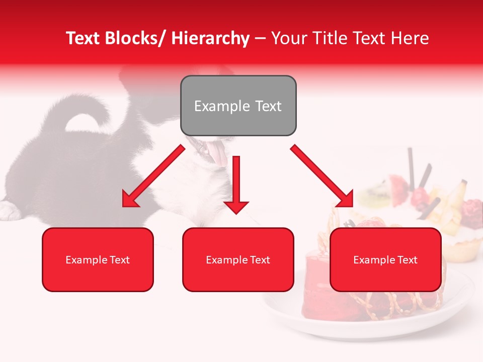 Young Top Puppy PowerPoint Template