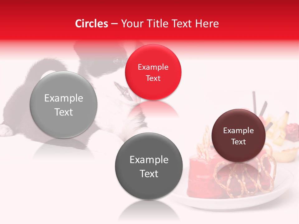 Young Top Puppy PowerPoint Template