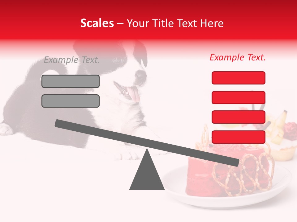 Young Top Puppy PowerPoint Template