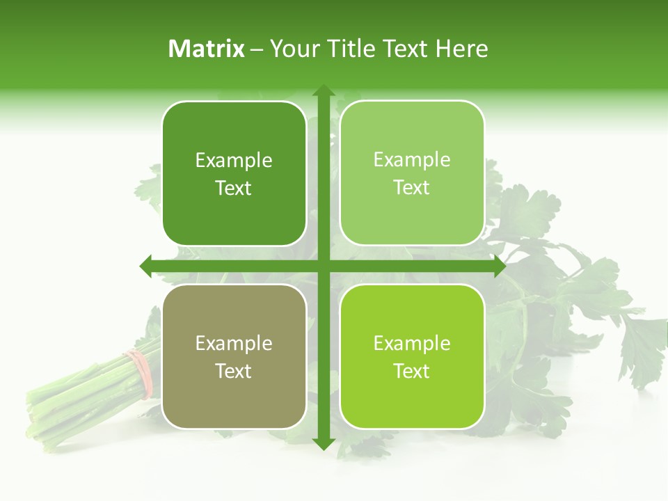 Petroselinum Crispum Soup Spices PowerPoint Template
