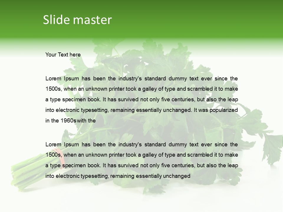 Petroselinum Crispum Soup Spices PowerPoint Template