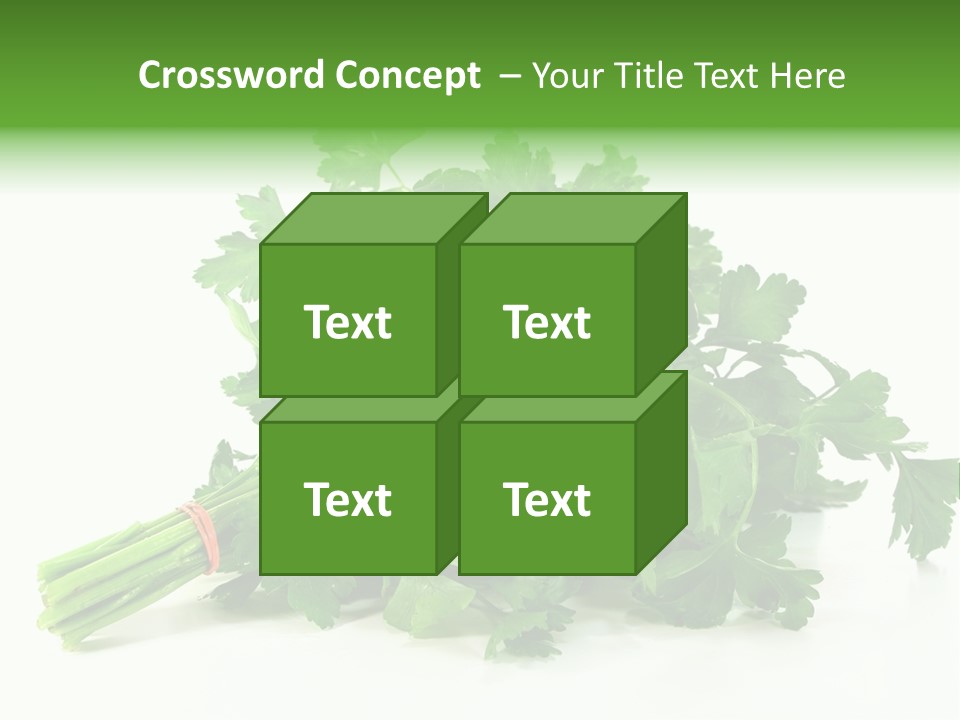 Petroselinum Crispum Soup Spices PowerPoint Template