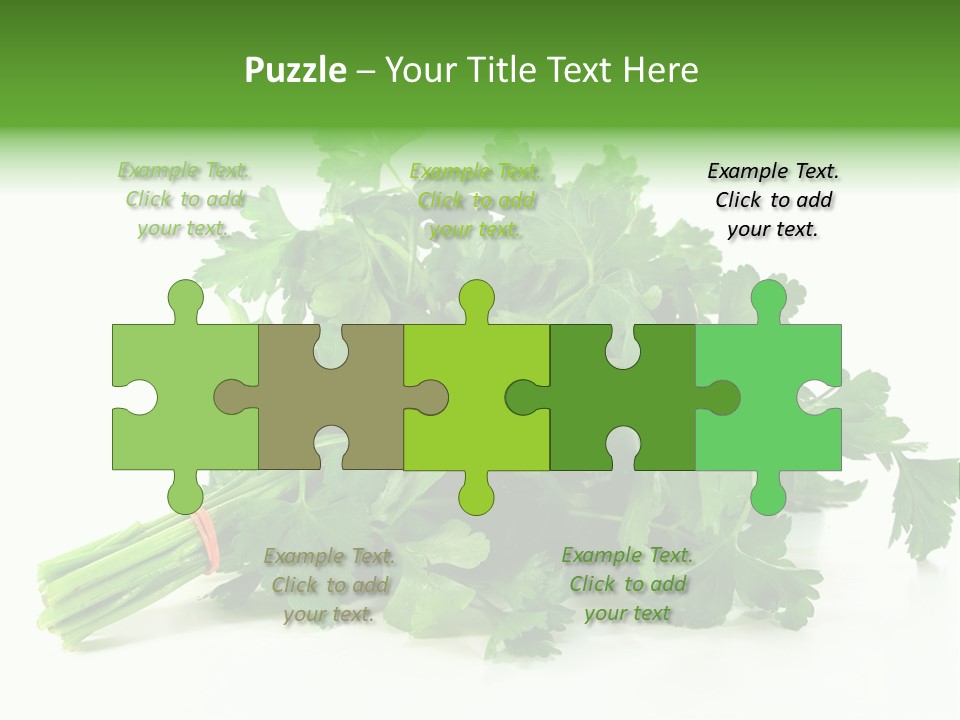 Petroselinum Crispum Soup Spices PowerPoint Template