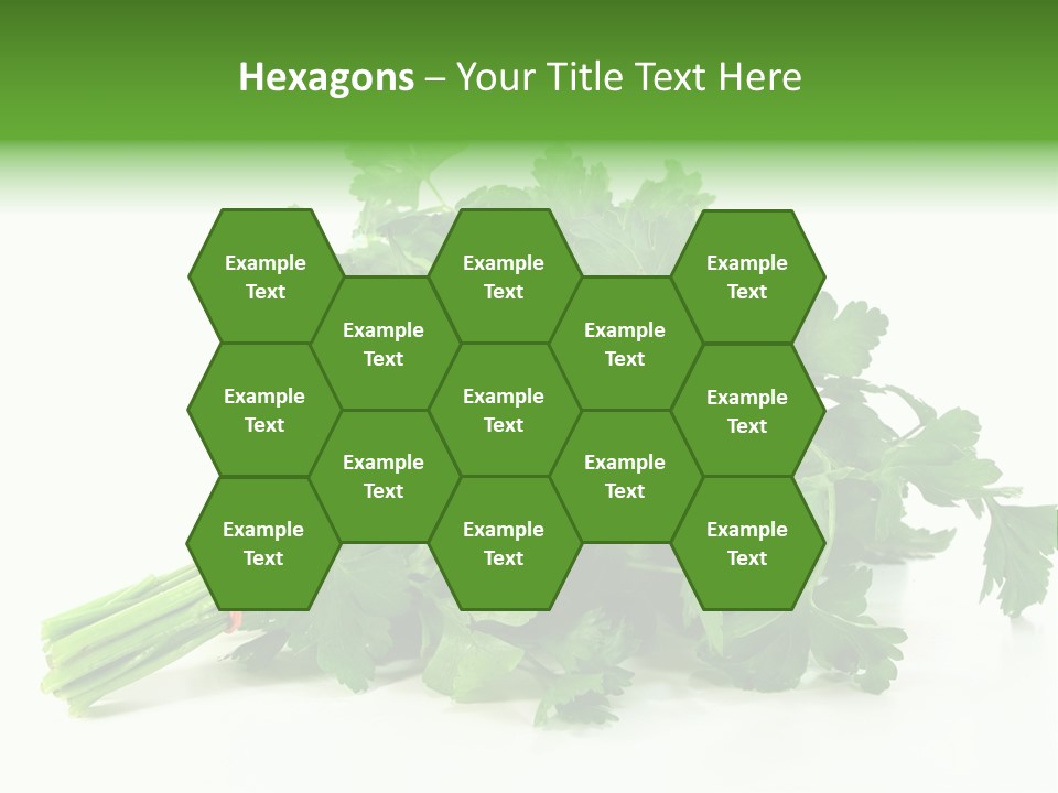 Petroselinum Crispum Soup Spices PowerPoint Template