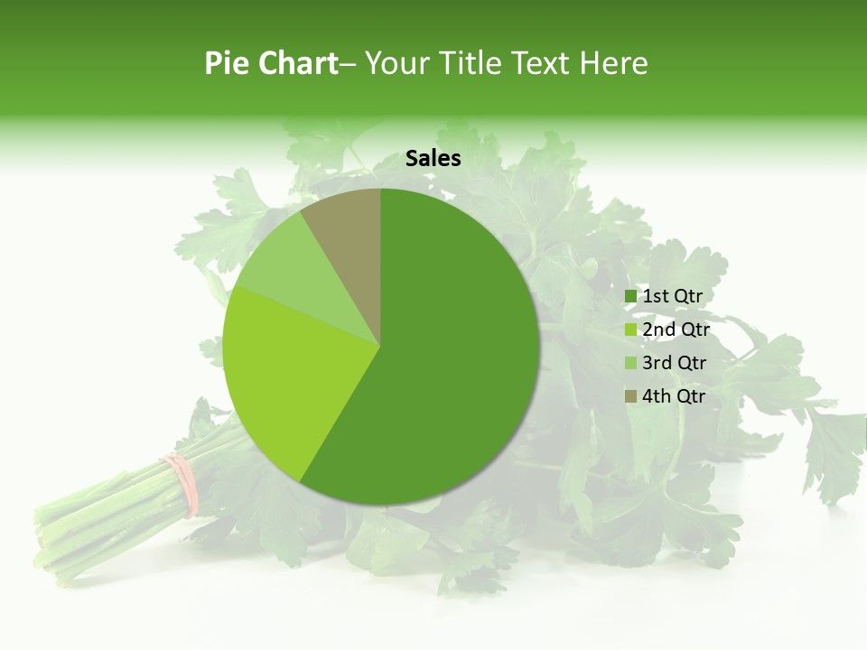 Petroselinum Crispum Soup Spices PowerPoint Template