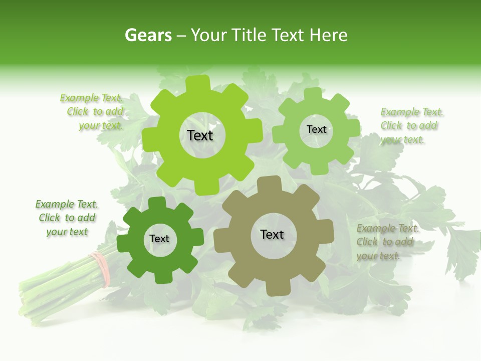 Petroselinum Crispum Soup Spices PowerPoint Template