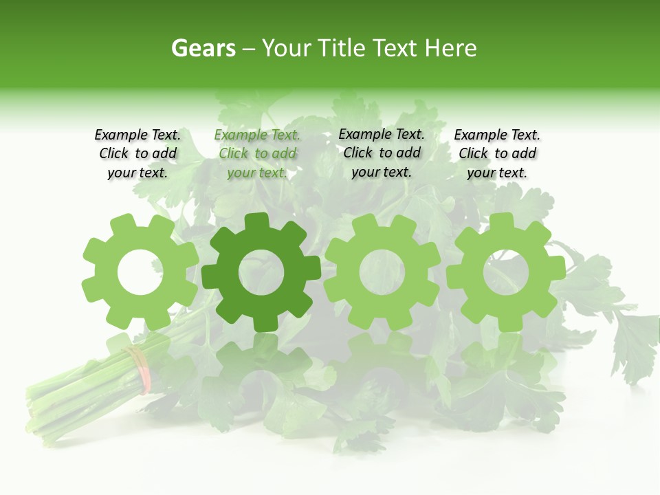 Petroselinum Crispum Soup Spices PowerPoint Template