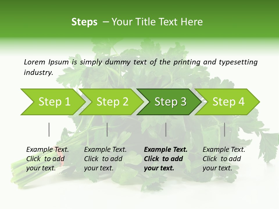 Petroselinum Crispum Soup Spices PowerPoint Template