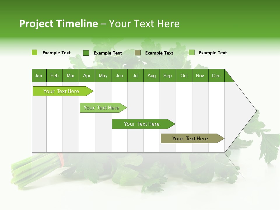 Petroselinum Crispum Soup Spices PowerPoint Template