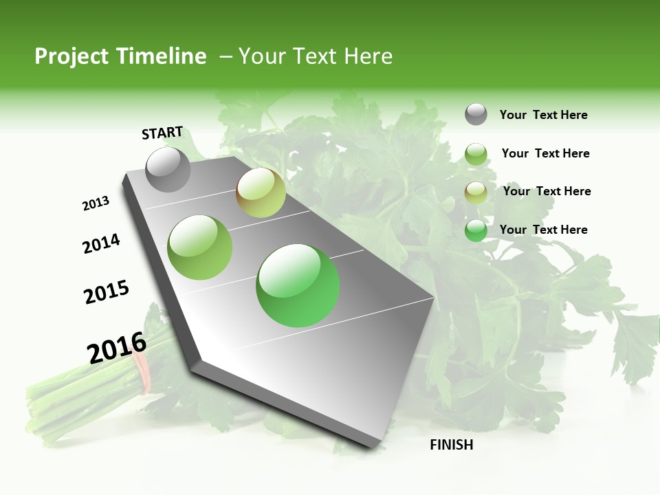 Petroselinum Crispum Soup Spices PowerPoint Template