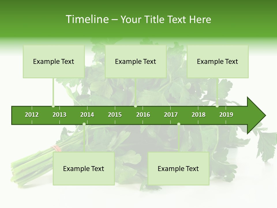 Petroselinum Crispum Soup Spices PowerPoint Template