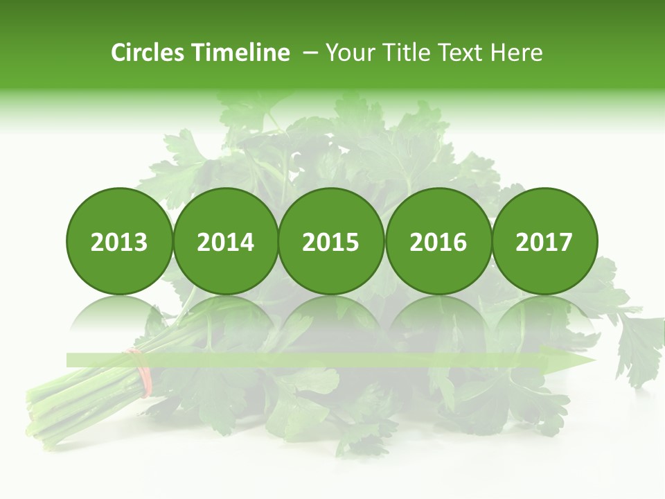 Petroselinum Crispum Soup Spices PowerPoint Template