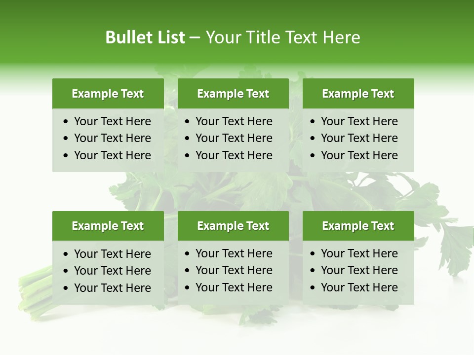 Petroselinum Crispum Soup Spices PowerPoint Template
