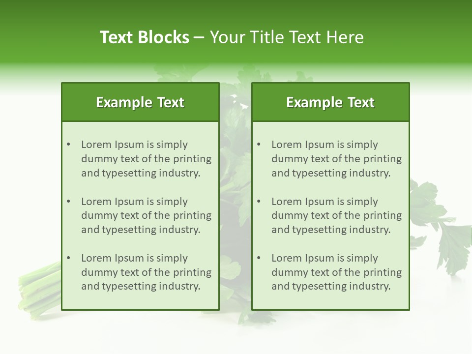 Petroselinum Crispum Soup Spices PowerPoint Template