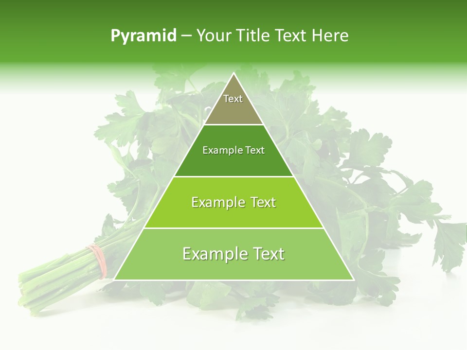 Petroselinum Crispum Soup Spices PowerPoint Template