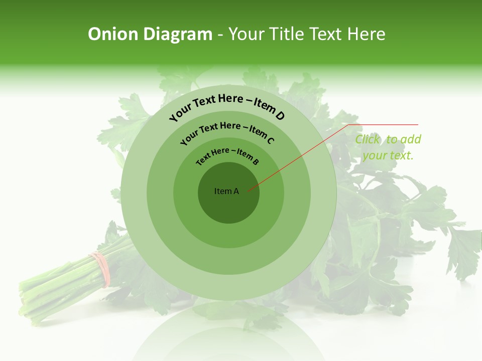 Petroselinum Crispum Soup Spices PowerPoint Template