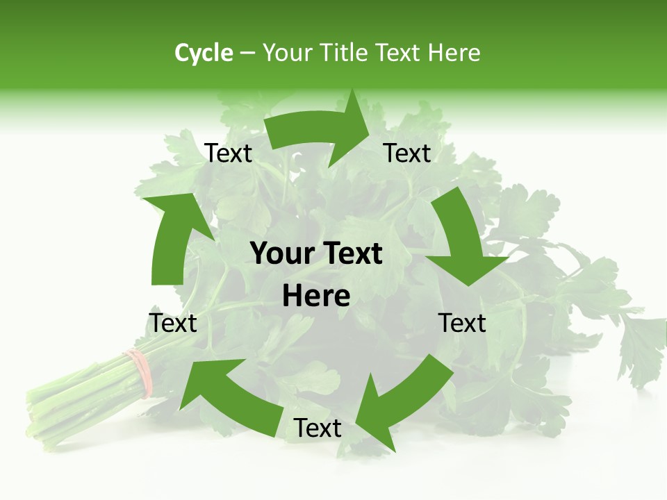 Petroselinum Crispum Soup Spices PowerPoint Template
