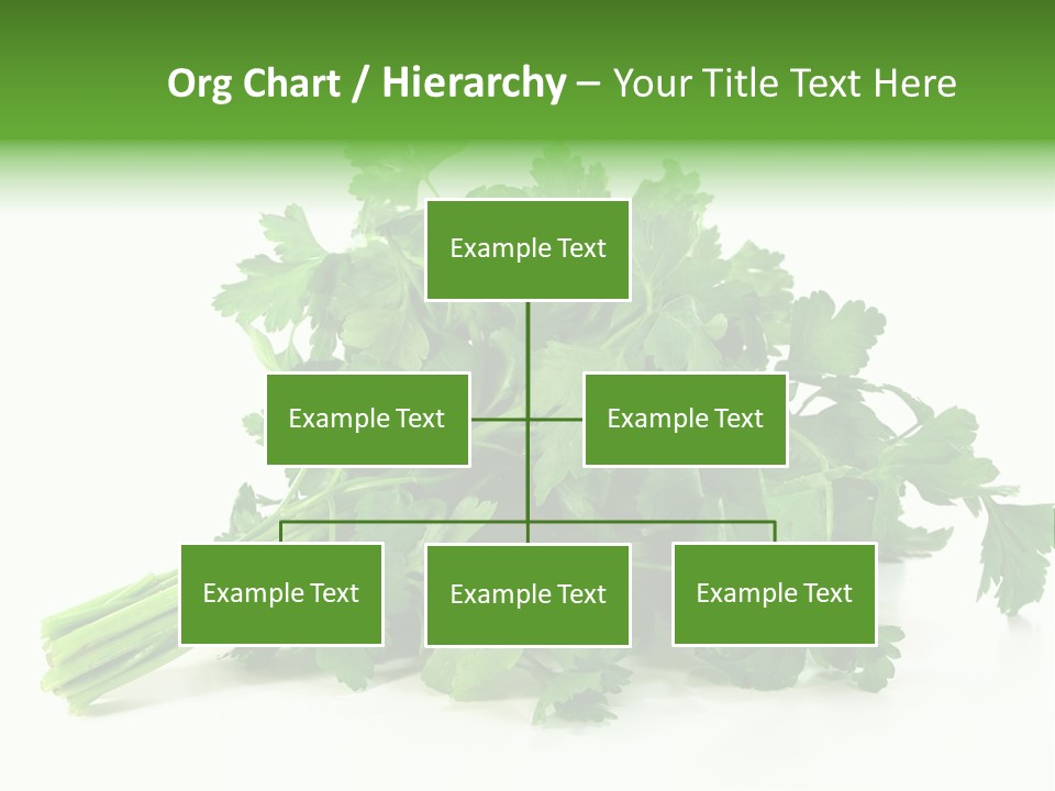 Petroselinum Crispum Soup Spices PowerPoint Template