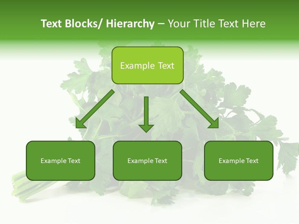 Petroselinum Crispum Soup Spices PowerPoint Template