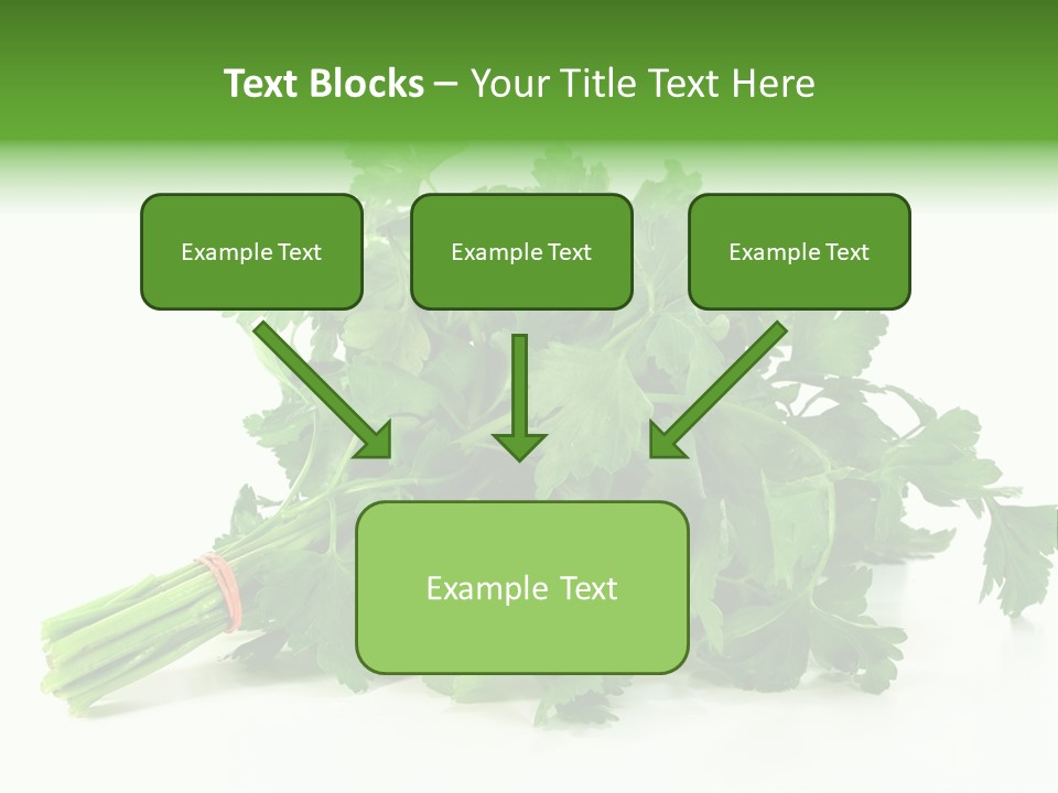 Petroselinum Crispum Soup Spices PowerPoint Template