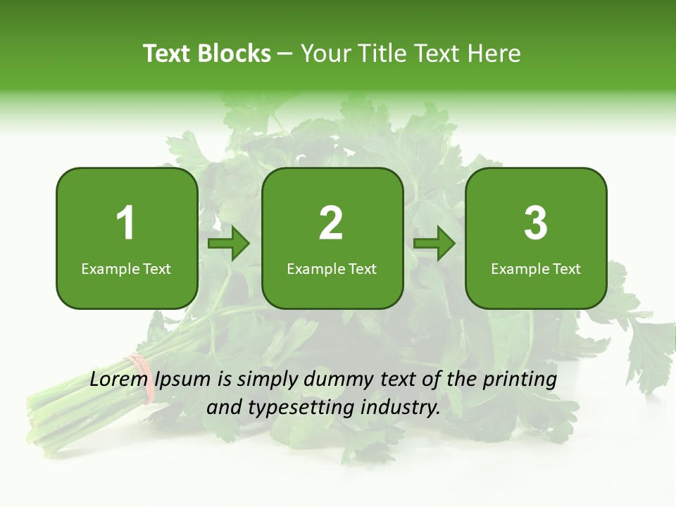 Petroselinum Crispum Soup Spices PowerPoint Template