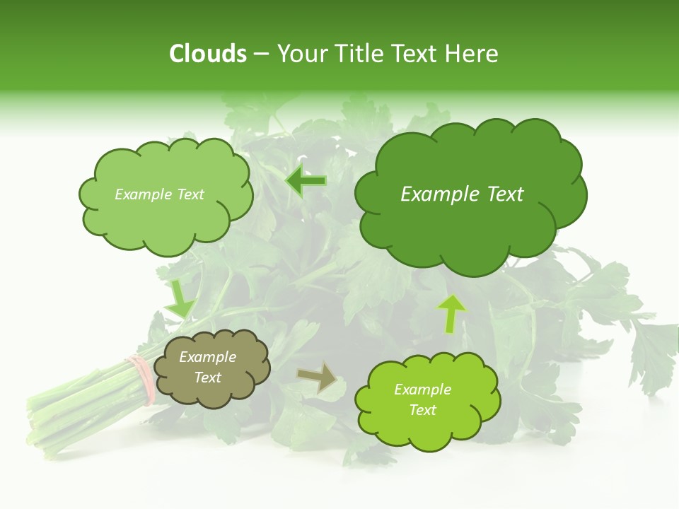 Petroselinum Crispum Soup Spices PowerPoint Template