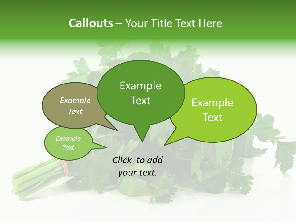 Petroselinum Crispum Soup Spices PowerPoint Template