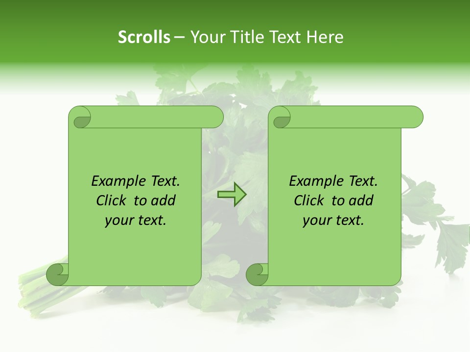 Petroselinum Crispum Soup Spices PowerPoint Template