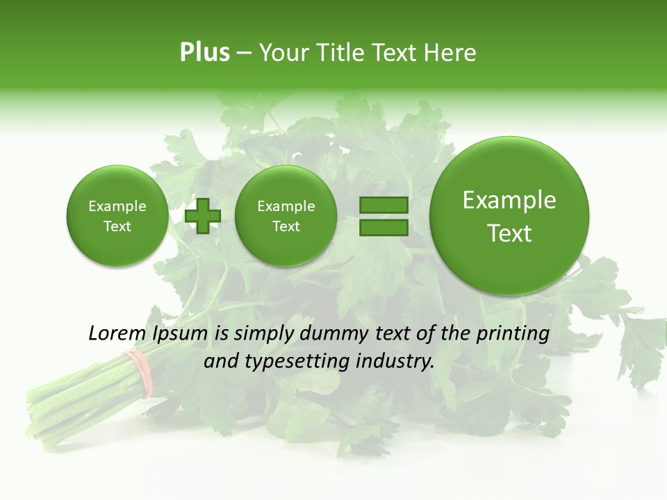 Petroselinum Crispum Soup Spices PowerPoint Template