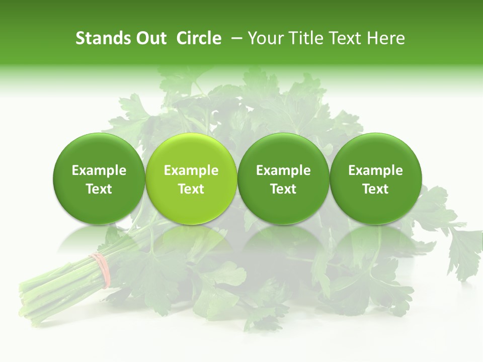 Petroselinum Crispum Soup Spices PowerPoint Template