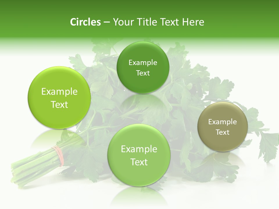 Petroselinum Crispum Soup Spices PowerPoint Template