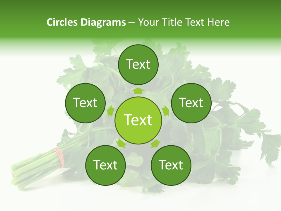 Petroselinum Crispum Soup Spices PowerPoint Template