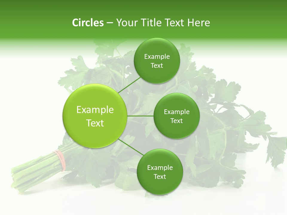 Petroselinum Crispum Soup Spices PowerPoint Template